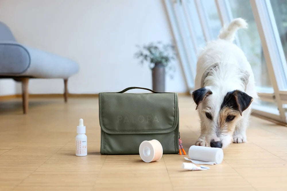 Hunde Erste-Hilfe-Set - verschiedene Farben