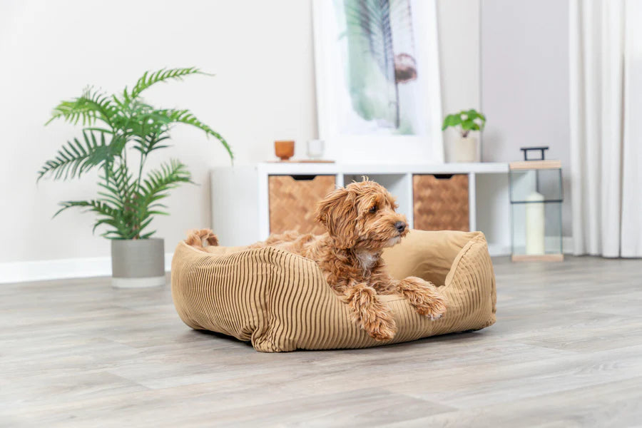 Marley Hundebett - Ocker - verschiedene Größen