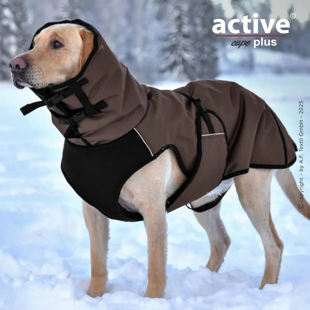 actionfactory active cape elastic plus / brown / S
