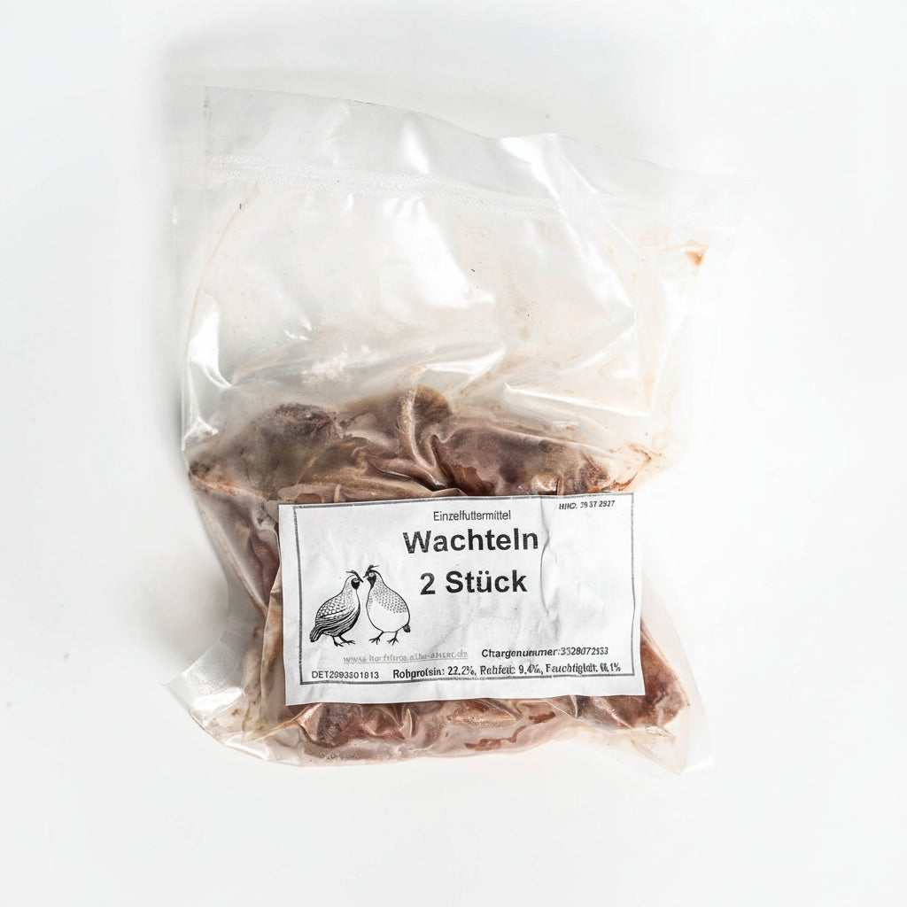 Wachteln 2 Stk.