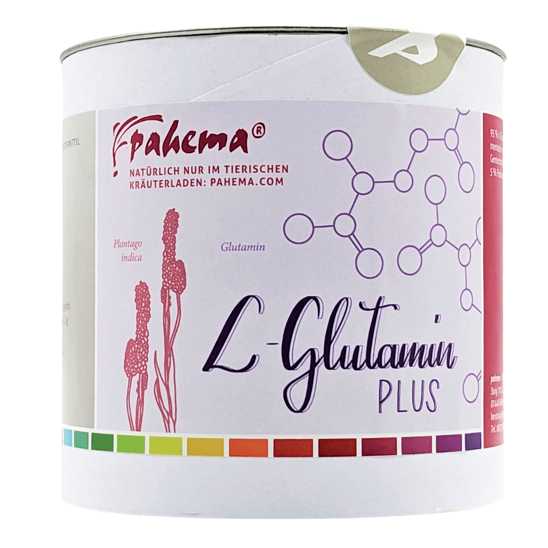 pahema L-Glutamin Plus
