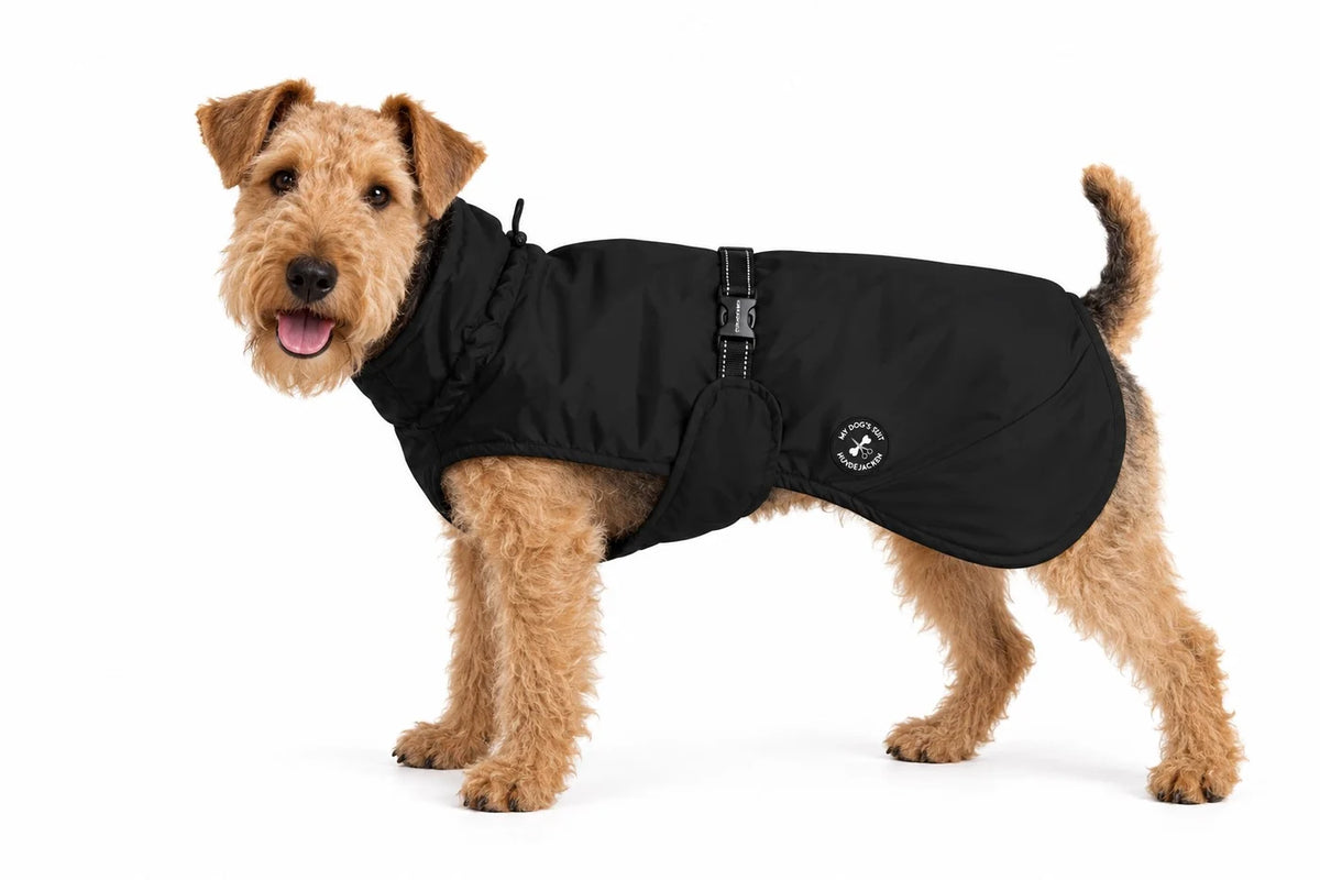 Hunderegenjacke MyDog`s Suit