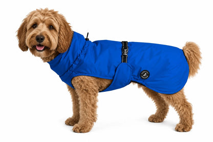 Hunderegenjacke MyDog`s Suit