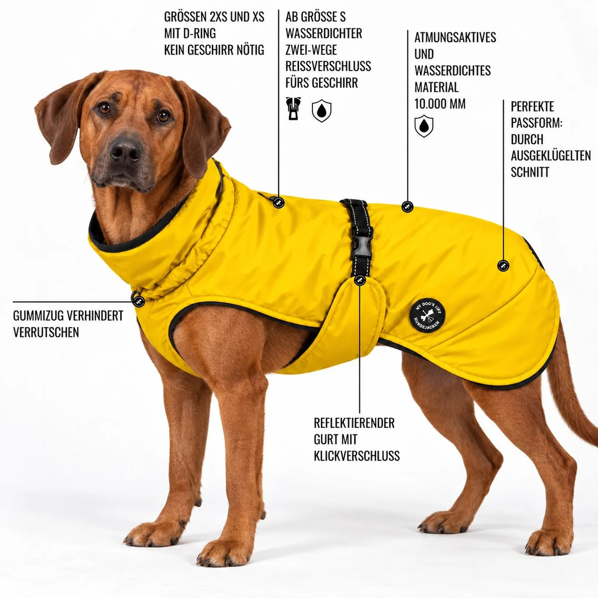 Hunderegenjacke MyDog`s Suit