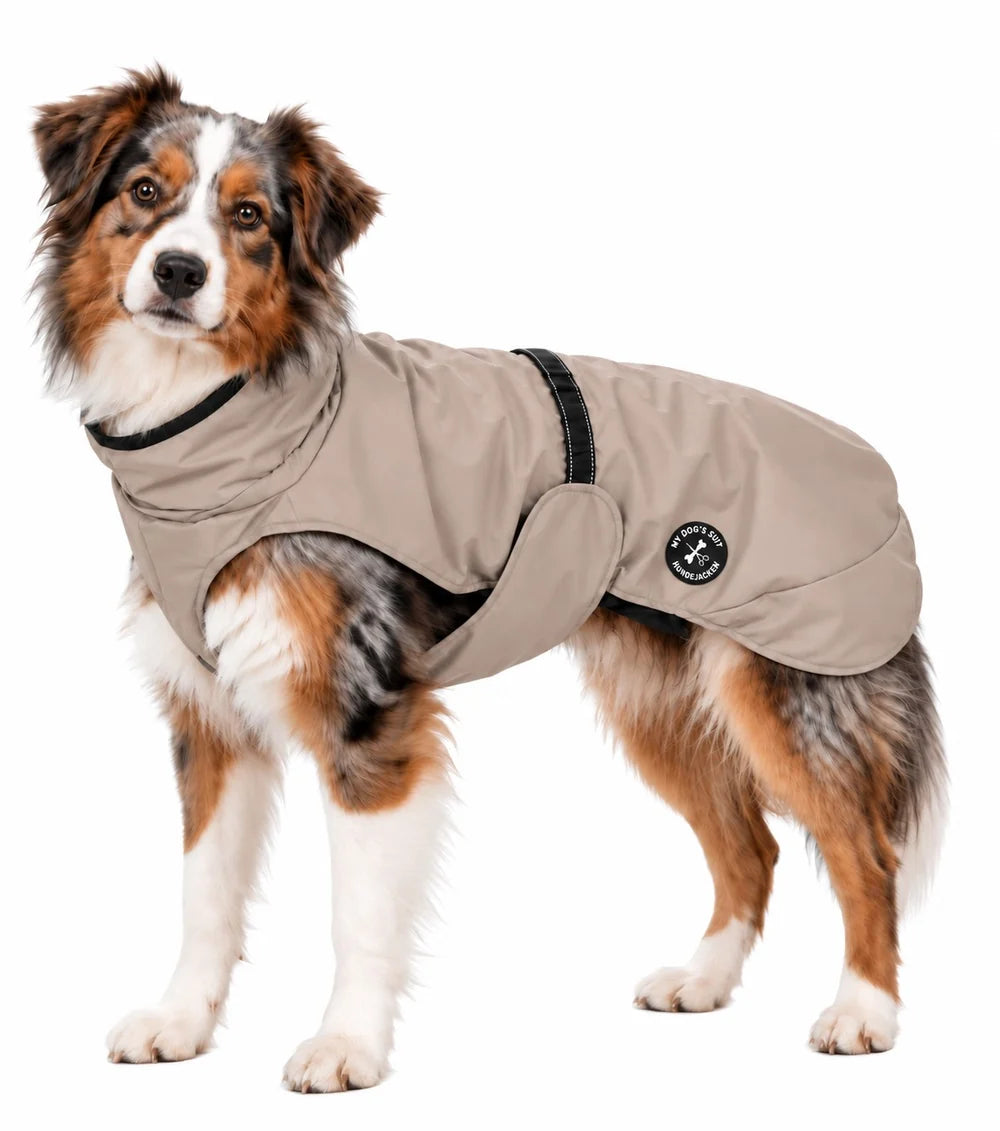 Hunderegenjacke MyDog`s Suit