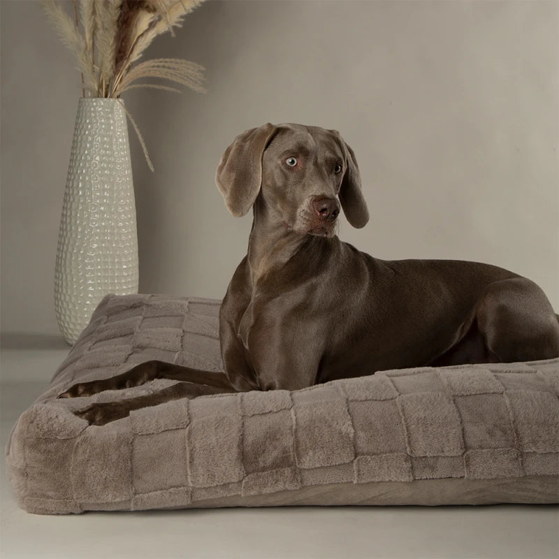 Scruffs Oxford Hundekissen - grau - 120x75 cm
