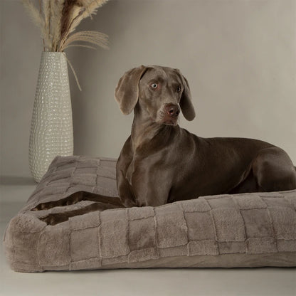 Scruffs Oxford Hundekissen - grau - 120x75 cm
