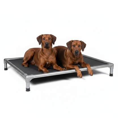 Hochbett für Hunde grau - verschiedene Größen