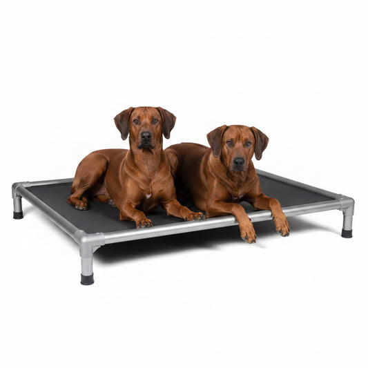 Hochbett für Hunde grau - verschiedene Größen