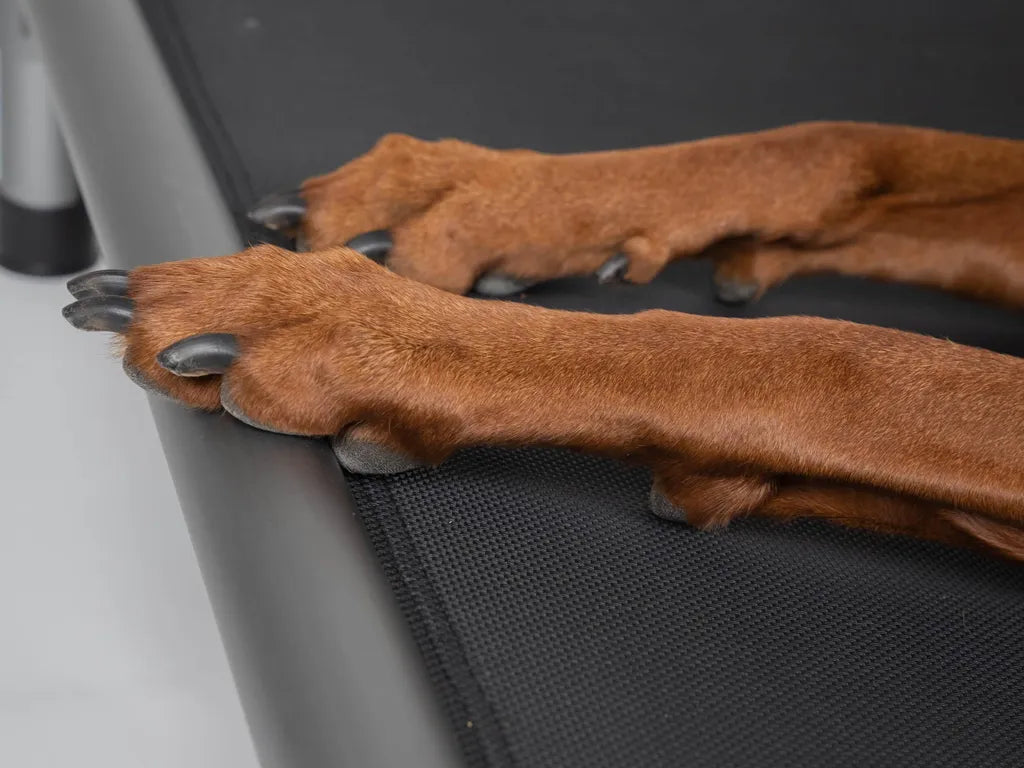 Hochbett für Hunde grau - verschiedene Größen