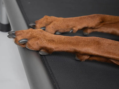 Hochbett für Hunde grau - verschiedene Größen
