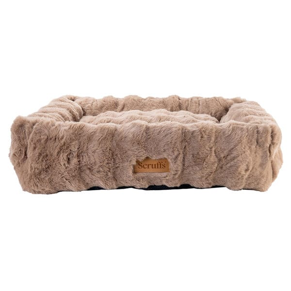 Scruffs Alpine Box Bed XXL taupe + kostenloser Palopa Erste-Hilfe-Tasche im Bundle ♥️ Aktion