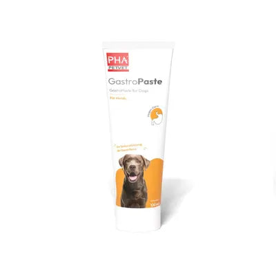 PHA Gastro-Paste 100ml