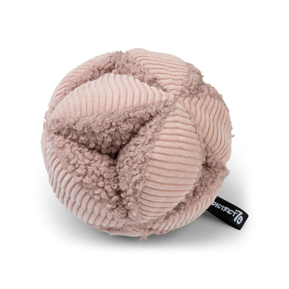 Schnüffelball BOBBY