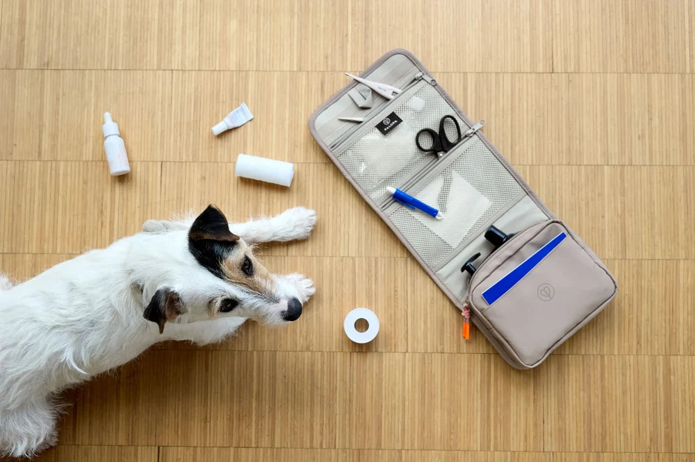 Hunde Erste-Hilfe-Set - verschiedene Farben