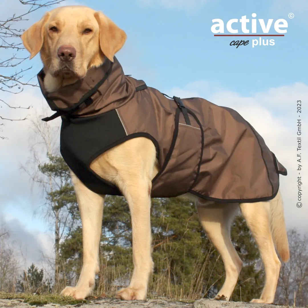 actionfactory active cape elastic plus / sand / S