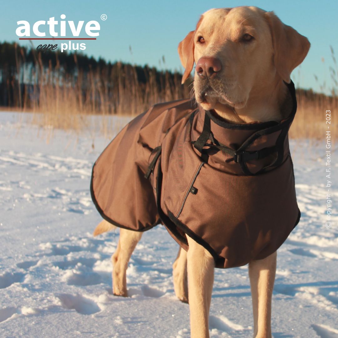 actionfactory active cape plus / brown / XL