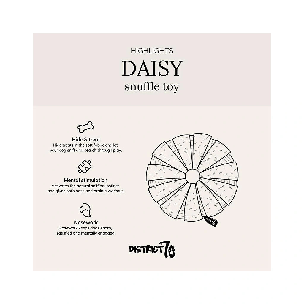 DAISY rundes Schnüffelspielzeug