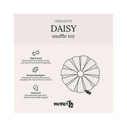 DAISY rundes Schnüffelspielzeug