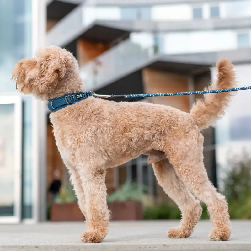 Dog Copenhagen - Halsband XS - verschiedene Farben