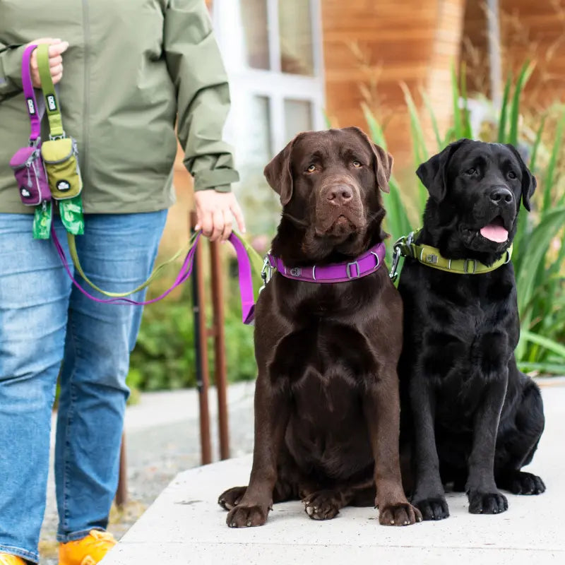 Dog Copenhagen - Halsband XL - verschiedene Farben