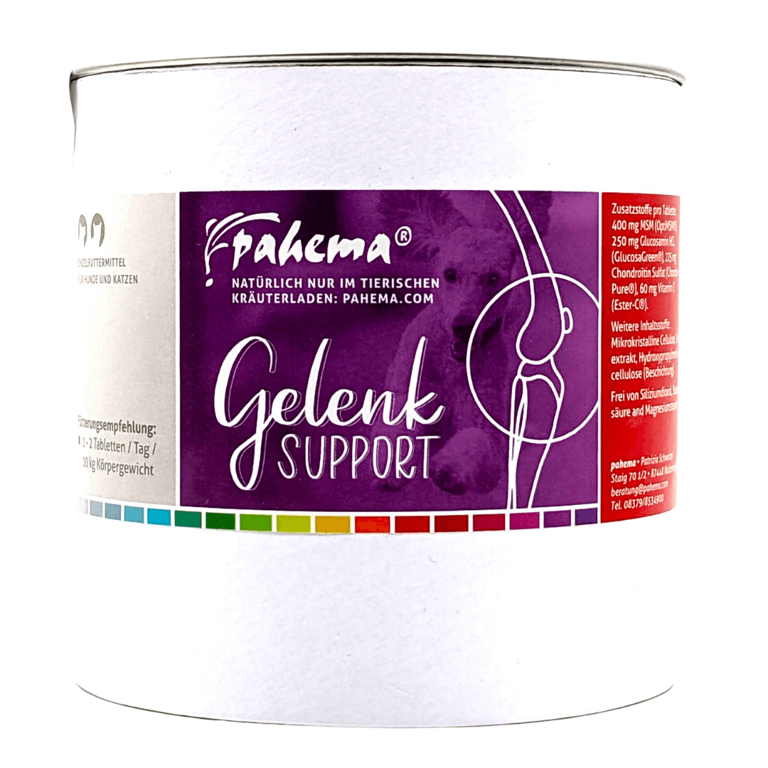 pahema Gelenk Support