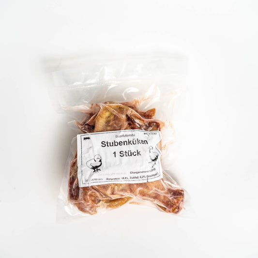 Stubenküken 1 Stk.