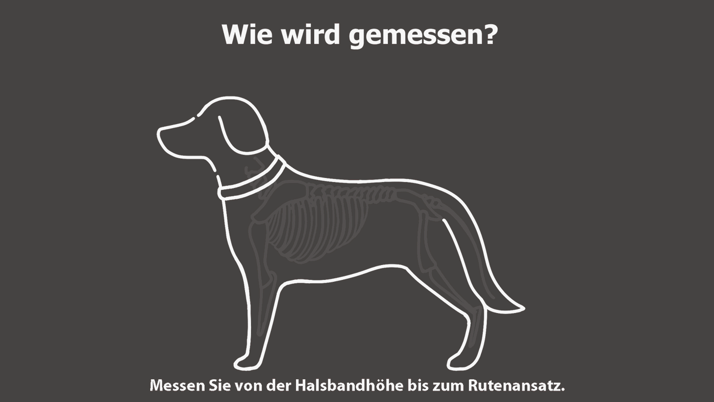 dryup® cape - Hundebademantel - ohne Bein
