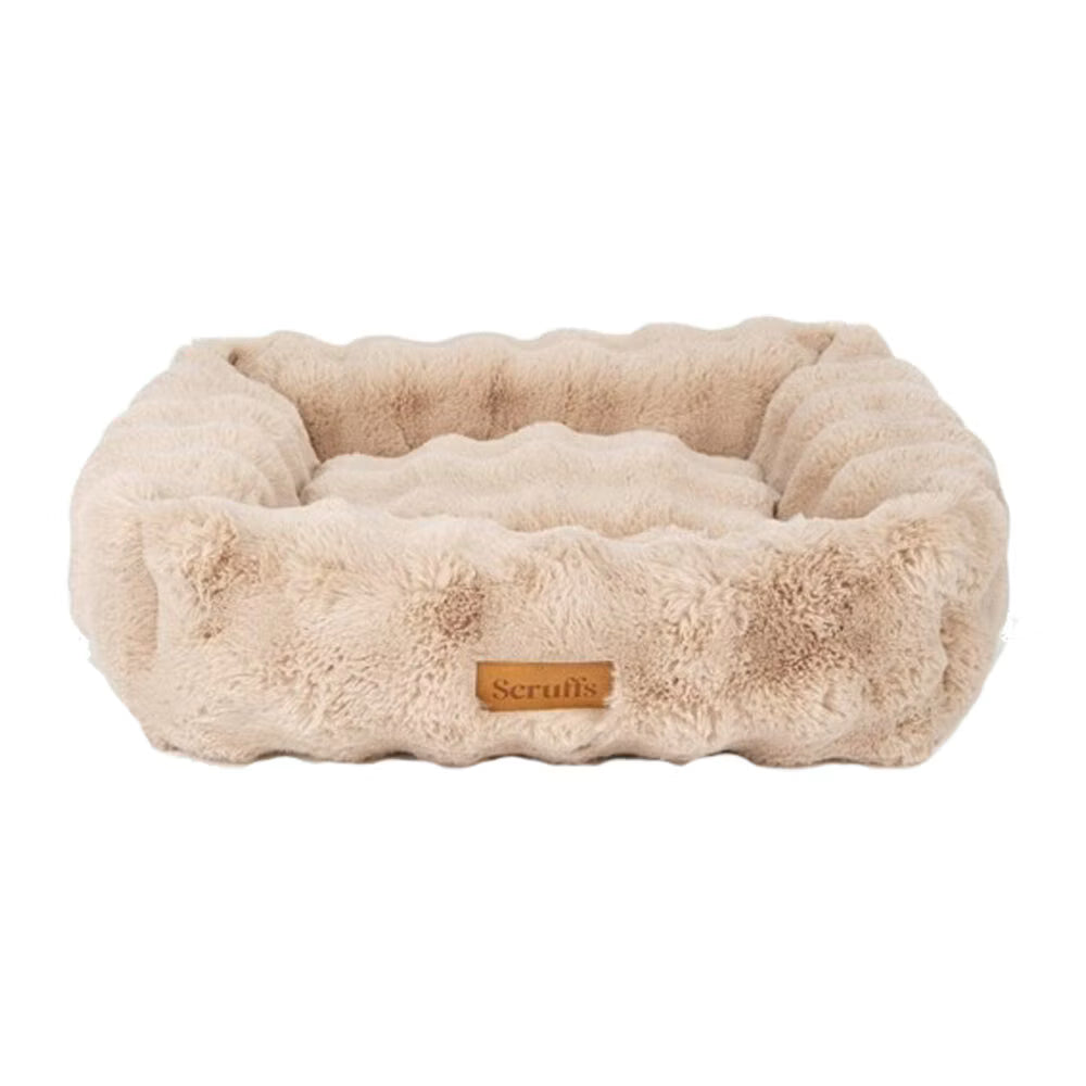 Scruffs Alpine Box Bed XXL champagne + kostenloser Palopa Erste-Hilfe-Tasche im Bundle ♥️ Aktion