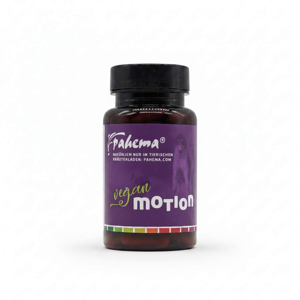 pahema Vegan Motion
