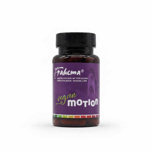 pahema Vegan Motion